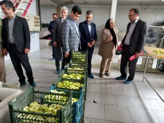 بازدید بازرس کل استان گلستان از واحدهای تولیدی شهرک های صنعتی شهرستان گنبدکاووس در صنعت   بسته بندی و میوه خشک