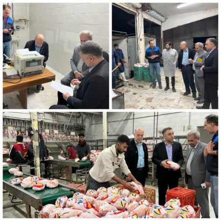 بازدید شبانه مدیر کل تعزیرات حکومتی گلستان از کشتارگاههای مرغ استان