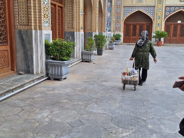 اقدام خیرخواهانه در گرگان؛ توزیع گسترده کمک‌های معیشتی ویژه سالمندان