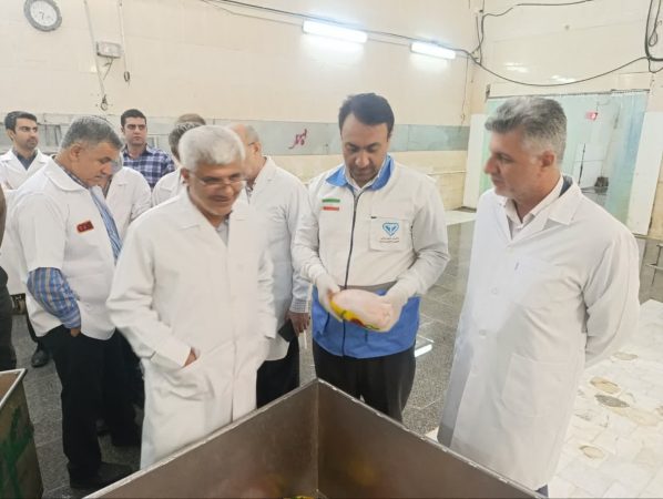 بازدید شبانه معاون اقتصادی استاندار گلستان از کشتارگاه‌های طیور استان