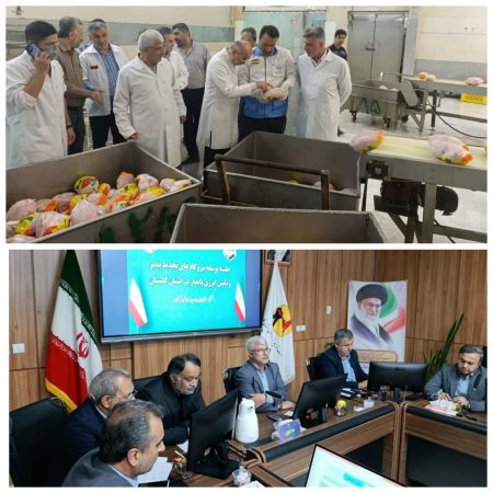 گلستانِ بیدار؛ الگویی برای عبور از خواب تاریخی با شب‌گردی اقتصادی