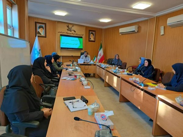 دوره آموزشی «کارگاه فعالیت پژوهش اعضا» در کانون پرورش فکری گلستان برگزار شد
