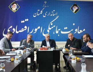 حمایت قاطع استانداری گلستان از صنعت آرد؛ صادرات به افغانستان و عراق در دستور کار