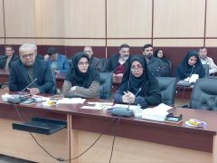 طرح موانع پرداخت تسهیلات اشتغال‌زایی جامعه هدف بهزیستی در کارگروه اشتغال استان گلستان