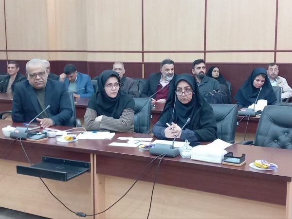 طرح موانع پرداخت تسهیلات اشتغال‌زایی جامعه هدف بهزیستی در کارگروه اشتغال استان گلستان