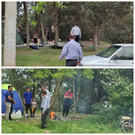 افزایش دما و هشدار آتش سوزی جنگلها