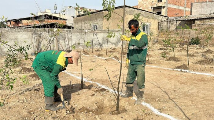 عملیات احداث بوستان وحدت در مساحت ۳ هزار متر مربع آغاز شد