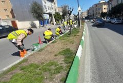 اقدامات گسترده شهرداری گرگان برای نوروز ۱۴۰۳