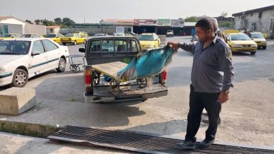 تشدید طرح برخورد با مراکز غیرمجاز خرید و فروش ضایعاتی شهر گرگان