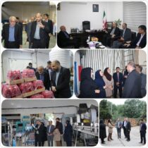 توسعه مباحث استانداردسازی باعث ارتقاء کیفیت محصولات و افزایش فعالیت واحدهای تولیدی می شود