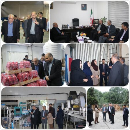 توسعه مباحث استانداردسازی باعث ارتقاء کیفیت محصولات و افزایش فعالیت واحدهای تولیدی می شود