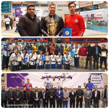 گلستان نایب قهرمان هفدهمین دوره رقابت های لیگ پومسه دسته یک کشور