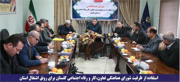 استفاده از ظرفیت شورای هماهنگی تعاون،کار و رفاه اجتماعی گلستان برای رونق اشتغال استان