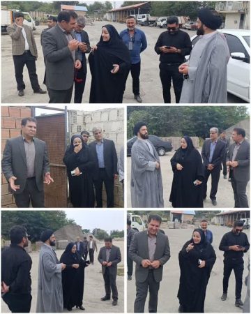 جمع آوری و ساماندهی حیوانات از سطح شهر به تقویت بهداشت عمومی کمک می کند