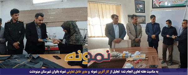 تجلیل از کارآفرین نمونه و مدیر عامل تعاونی نمونه بانوان شهرستان مینودشت