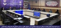 عمیلاتی شدن فرایند ساماندهی کسب و کارهای خانگی مد و لباس با همکاری اداره کل فرهنگ و ارشاد اسلامی