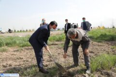 مراسم روز درختکاری و گرامیداشت هفته منابع طبیعی در دانشگاه گلستان برگزار شد