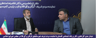 دیدار مدیرکل تعاون،کار و رفاه اجتماعی گلستان با نماینده مردم گرگان و آق قلا در مجلس شورای اسلامی