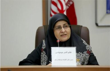 رسته‌های اعطای مجوز مشاغل خانگی توسط وزارت فرهنگ و ارشاد اسلامی تشریح شد