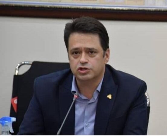 توان واردات ۱۰ میلیون تن نهاده دامی از اینچه برون میسر است