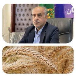 پرداخت مطالبات جو کاران گلستان آغاز شد