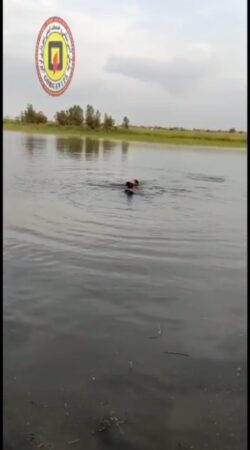 فوت جوان 20 ساله در حادثه غرق شدگی در آببندان روستای پیرواش