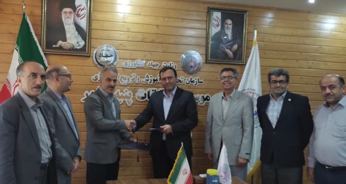 قرارداد واگذاری موقت رقم پنبه ورامین منعقد شد