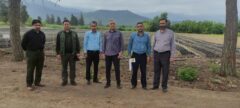 کارشناسان ستاد ملی طرح مردمی کاشت یک میلیارد درخت از نهالستان های گلستان بازدید کردند