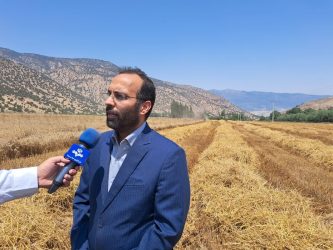خبر خوش به کشاورزان عزیز گندمکار استان گلستان