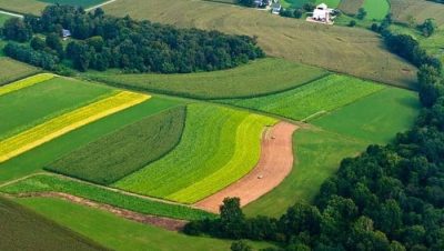 ۶۰۱ هکتار از اراضی ملی با رای دادگاه‌های استان گلستان به بیت‌المال بازگشت
