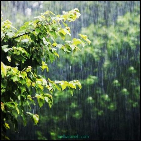 افزایش ۳۹ درصدی بارش ها در گلستان نسبت به درازمدت