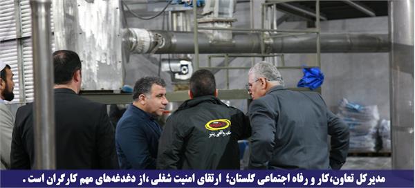 مدیرکل تعاون،کار و رفاه اجتماعی گلستان : ارتقای امنیت شغلی ،از دغدغه‌های مهم کارگران است