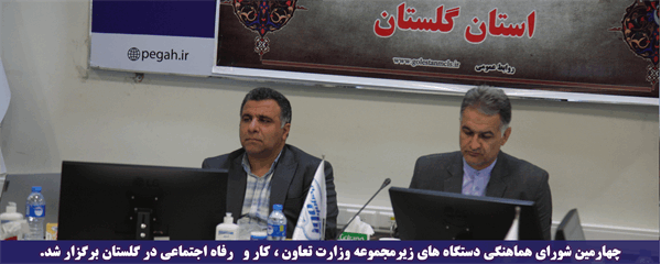 مدیرکل تعاون،کار و رفاه اجتماعی گلستان: بیش از یک میلیون و ۸۵۰هزار نفر در گلستان یارانه دریافت میکنند