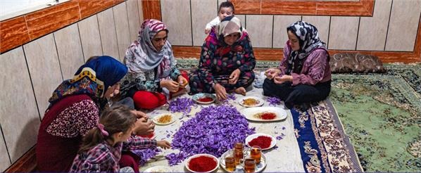 تعاونی‌های روستایی گلستان از ظرفیت ایجاد ۲ هزار و ۷۸۵ فرصت شغلی برخوردارند