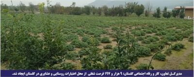 مدیرکل تعاون، کار و رفاه اجتماعی گلستان: ۹ هزار و ۱۹۷ فرصت شغلی از محل اعتبارات روستایی و عشایری در گلستان ایجاد شد