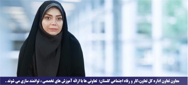 معاون تعاون اداره کل تعاون،کار و رفاه اجتماعی گلستان: تعاونی ها با ارائه آموزش های تخصصی ، توانمند سازی می شوند