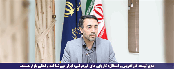 موسی بی باک: کاریابی های غیردولتی، ابزار مهم شناخت و تنظیم بازار هستند