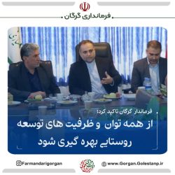 از همه ظرفیت های توسعه روستایی بهره گیری شود
